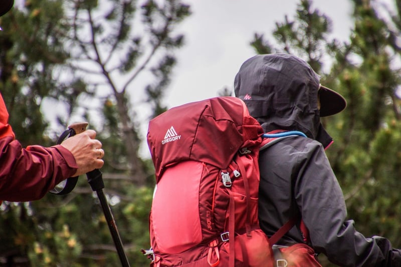 Backpack image
